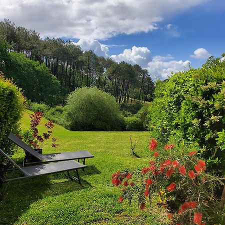 Appartement Calme Avec Jardin Bidart Biarritz Exteriör bild